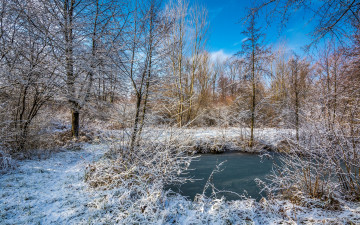 Картинка природа реки озера река лес
