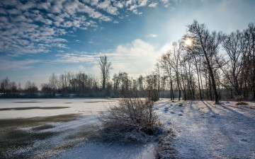 Картинка природа зима река лес