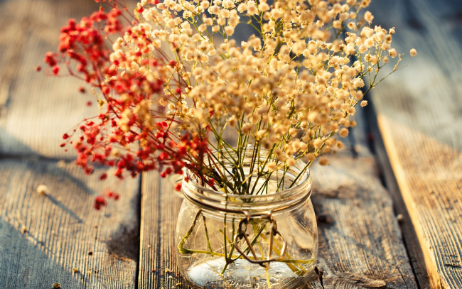 Обои картинки фото цветы, букеты,  композиции, доски, банка, букет