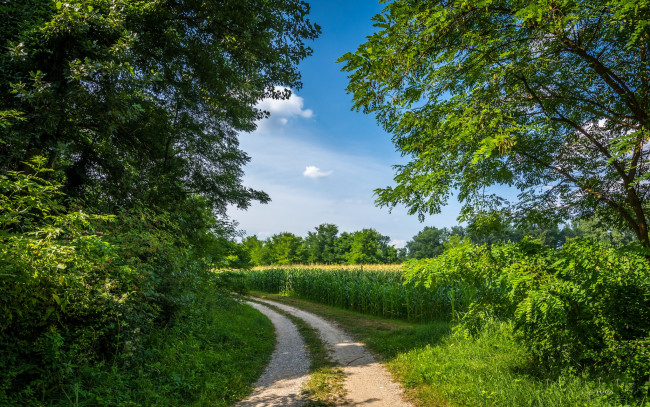 Обои картинки фото природа, дороги, тракт