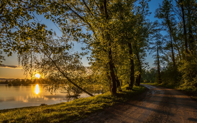 Обои картинки фото природа, реки, озера, лес, река