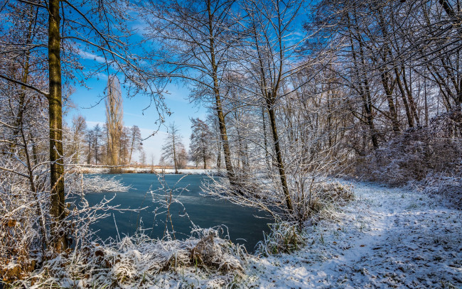 Обои картинки фото природа, реки, озера, река, лес