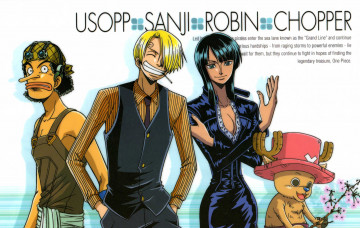 Картинка аниме one+piece шляпа существо люди