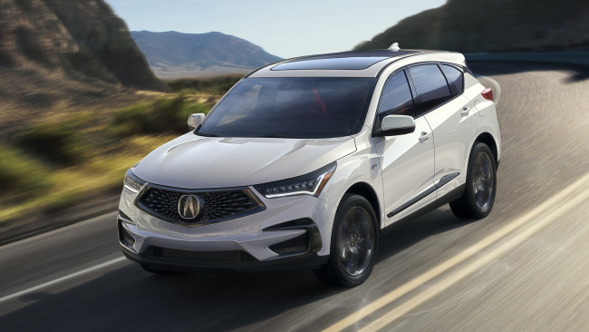 Обои картинки фото acura rdx 2019, автомобили, acura, белый, 2019, rdx