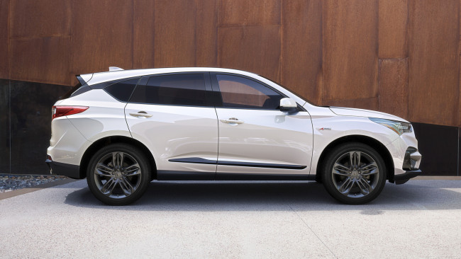 Обои картинки фото acura rdx 2019, автомобили, acura, rdx, 2019, белый