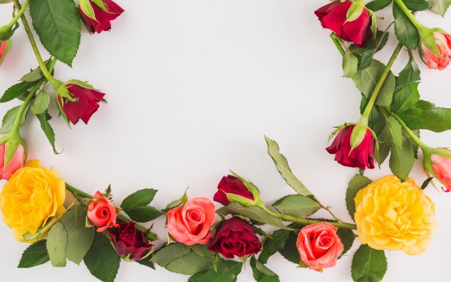 Обои картинки фото цветы, розы, бутоны, beautiful, розовые, colorful, roses, pink, листья, bud, flowers