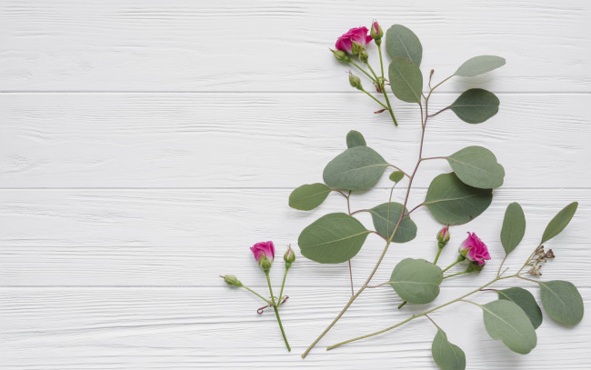 Обои картинки фото цветы, розы, бутоны, beautiful, розовые, roses, wood, pink, листья, bud, flowers
