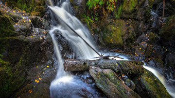 Картинка природа водопады поток водопад вода