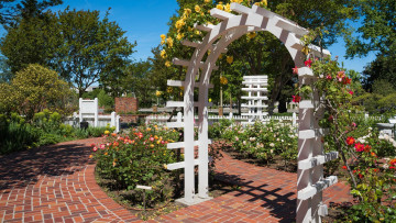 Картинка природа парк розарий