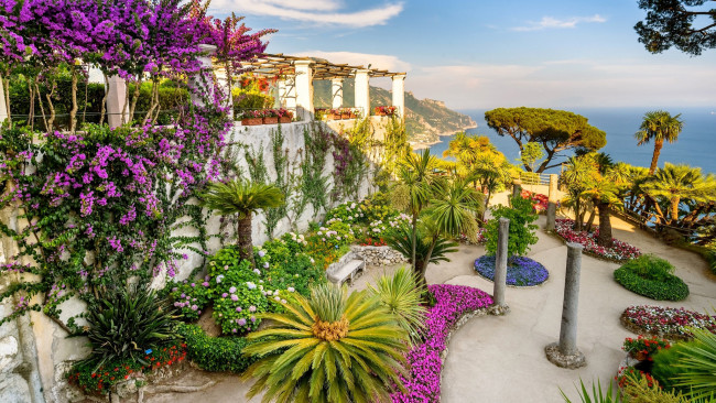 Обои картинки фото природа, парк, тропический