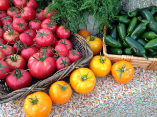 Картинка еда овощи укроп перец помидоры