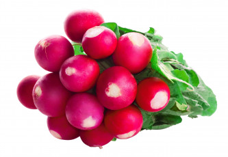 Картинка еда редис +репа +редька красный пучок макро
