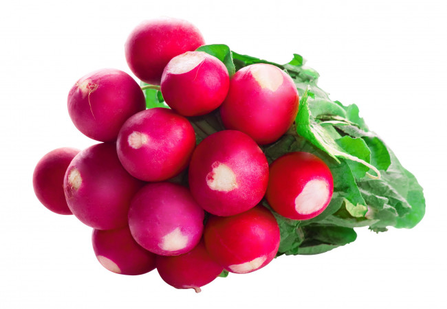 Обои картинки фото еда, редис,  репа,  редька, красный, пучок, макро