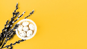 обоя праздничные, пасха, яйца, ветки, верба