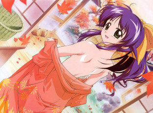 Картинка аниме mahoromatic