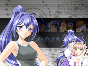 обоя аниме, kimiga, nozomu, eien