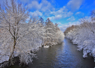 Картинка природа