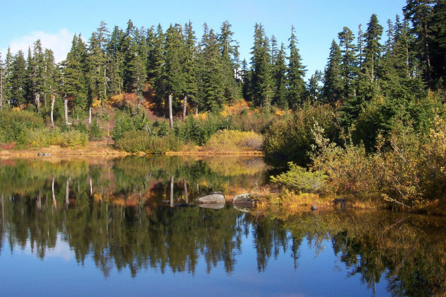 Обои картинки фото природа