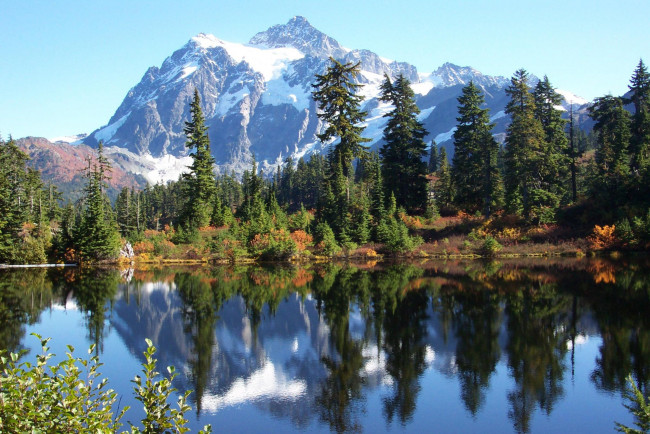 Обои картинки фото природа