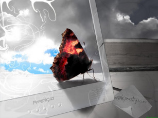 обоя компьютеры, prestigio