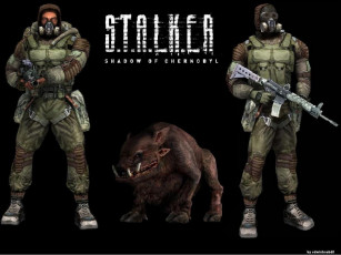 Картинка видео игры shadow of chernobyl