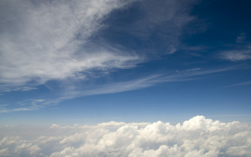 Картинка природа