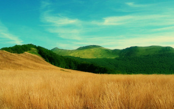 Картинка природа