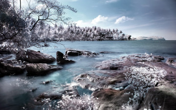 Картинка природа