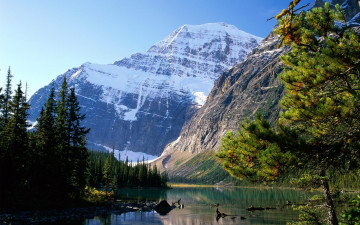 Картинка природа