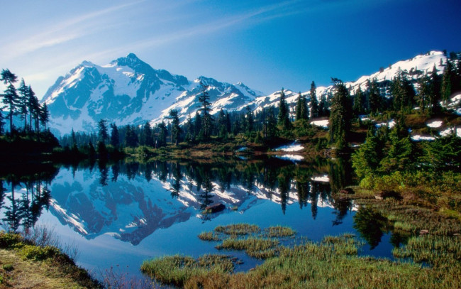 Обои картинки фото природа