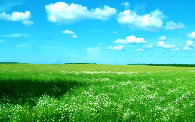 Обои картинки фото природа