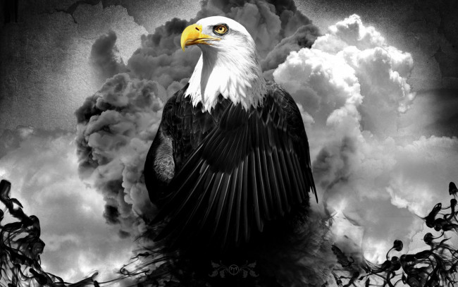 Обои картинки фото разное, компьютерный, дизайн