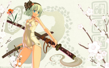 Картинка аниме touhou