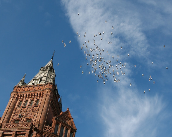 Обои картинки фото города, католические, соборы, костелы, аббатства