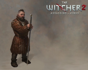 Картинка the witcher assassins of kings видео игры