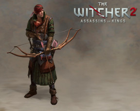 Картинка the witcher assassins of kings видео игры
