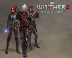 Картинка the witcher assassins of kings видео игры