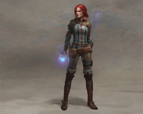 Картинка the witcher assassins of kings видео игры