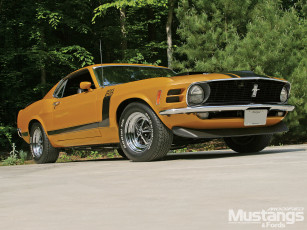 Картинка 1970 ford mustang boss 302 автомобили