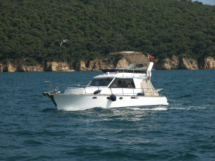 Картинка корабли катера