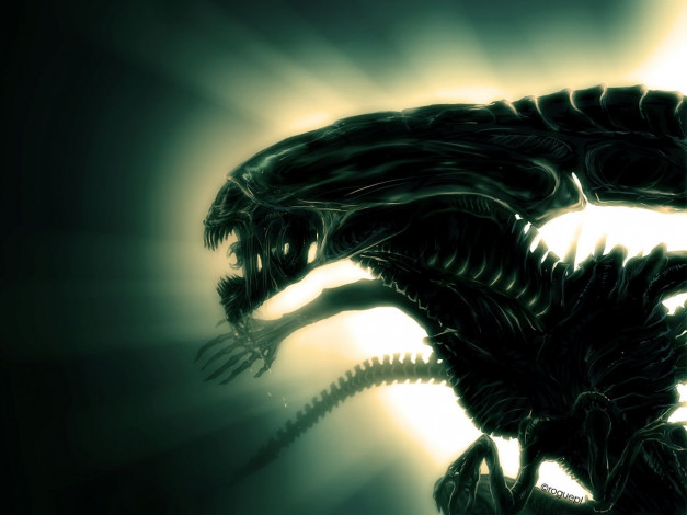 Обои картинки фото кино, фильмы, alien