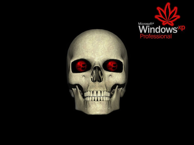 Обои картинки фото компьютеры, windows, xp