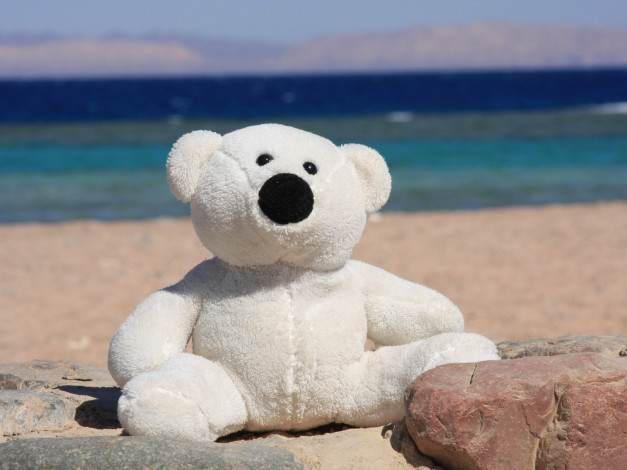 Обои картинки фото разное, игрушки