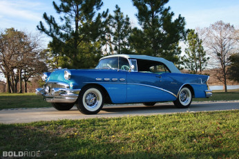 Картинка автомобили buick зелёный цветы жуки