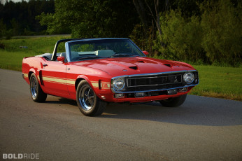 Картинка автомобили mustang скульптуры деревья водоем ford