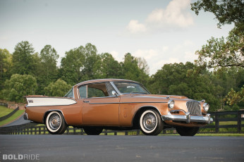 Картинка автомобили studebaker зелень кусты car