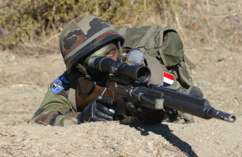 Картинка оружие армия спецназ куст листья ветки soldiers army