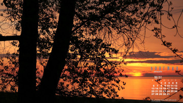 Картинка календари природа mandy lange закат деревья