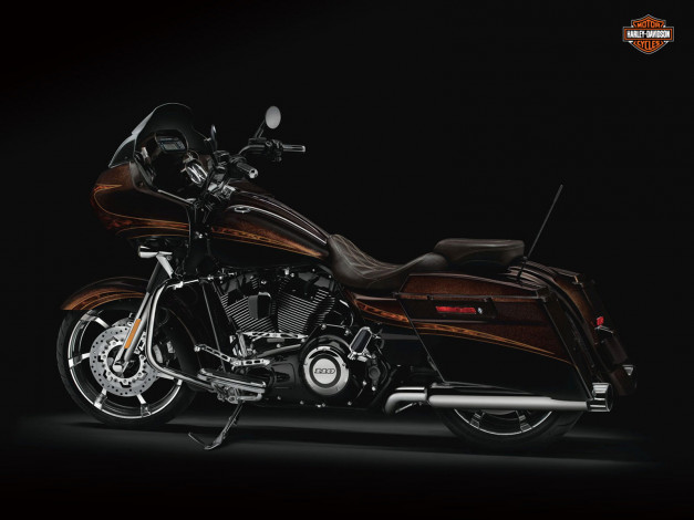 Обои картинки фото мотоциклы, harley, davidson, красные, лепестки, custom