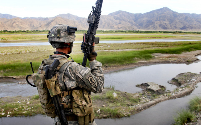 Обои картинки фото оружие, армия, спецназ, эхинацея, цинии, ромашки, army, soldiers